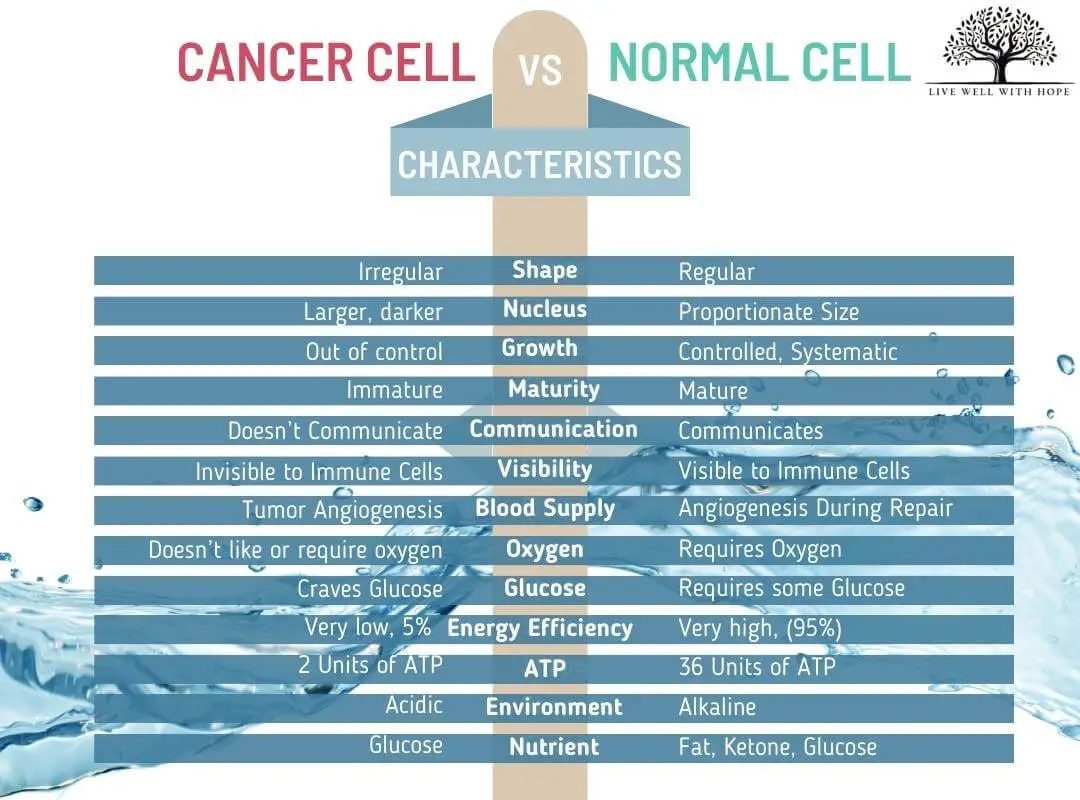 cancer cell vs normal cell characteristics HBOT